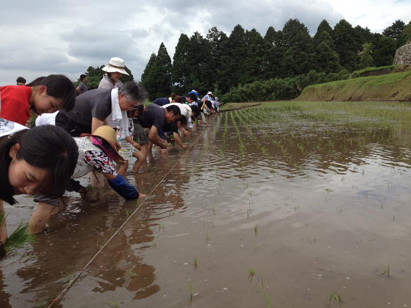 田植え20180610-2